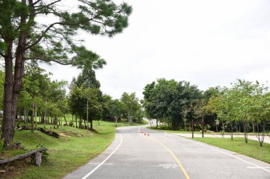Ağaçlık bir parkta trafik konileri olan dolambaçlı bir yol..
