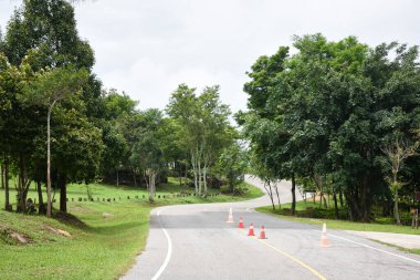 Ağaçlık bir parkta trafik konileri olan dolambaçlı bir yol..