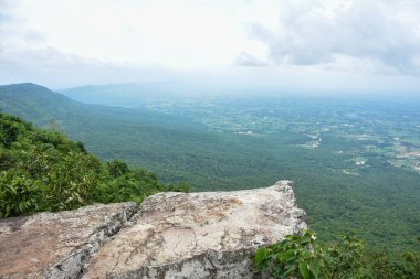 Dik kayalık uçurum, aşağıdaki engin yeşil orman vadisine bakıyor..