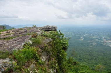 Dik kayalık uçurum, aşağıdaki engin yeşil orman vadisine bakıyor..