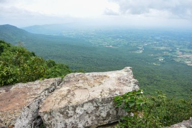 Dik kayalık uçurum, aşağıdaki engin yeşil orman vadisine bakıyor..