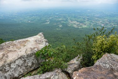 Dik kayalık uçurum, aşağıdaki engin yeşil orman vadisine bakıyor..