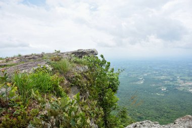 Dik kayalık uçurum, aşağıdaki engin yeşil orman vadisine bakıyor..