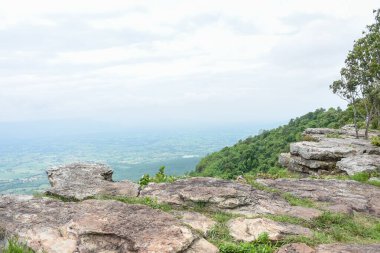 Dik kayalık uçurum, aşağıdaki engin yeşil orman vadisine bakıyor..