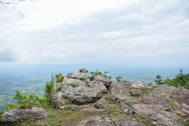 Dik kayalık uçurum, aşağıdaki engin yeşil orman vadisine bakıyor..