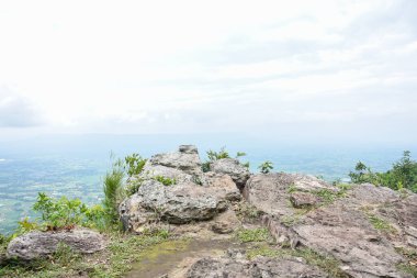 Dik kayalık uçurum, aşağıdaki engin yeşil orman vadisine bakıyor..