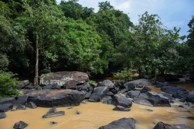 Şelale büyük, karanlık kayalarla çamurlu bir nehre akar..