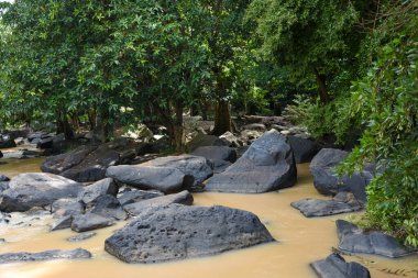 Şelale büyük, karanlık kayalarla çamurlu bir nehre akar..