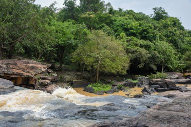 Ormandaki karanlık kayaların üzerinden hızlı akan, çamurlu bir nehir..