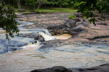 Ormandaki karanlık kayaların üzerinden hızlı akan, çamurlu bir nehir..