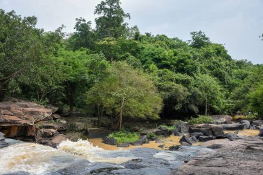 Ormandaki karanlık kayaların üzerinden hızlı akan, çamurlu bir nehir..