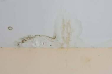 Su hasarı ve küf, havalandırma boşluğunun yanındaki beyaz tavanda görünür..