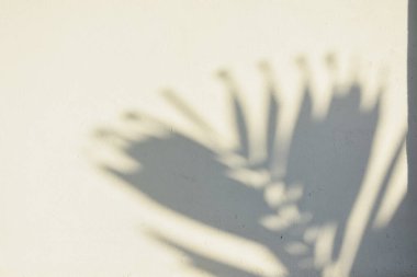 Ahşap zeminde parlayan güneş ışığı gölgeleri beyaz beton zemin