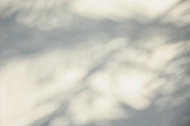 Ahşap zeminde parlayan güneş ışığı gölgeleri beyaz beton zemin