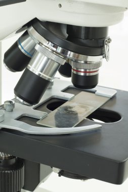 Makro fotoğraf slayt mikroskopla kapatın