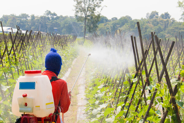 spraying pesticide, agriculture