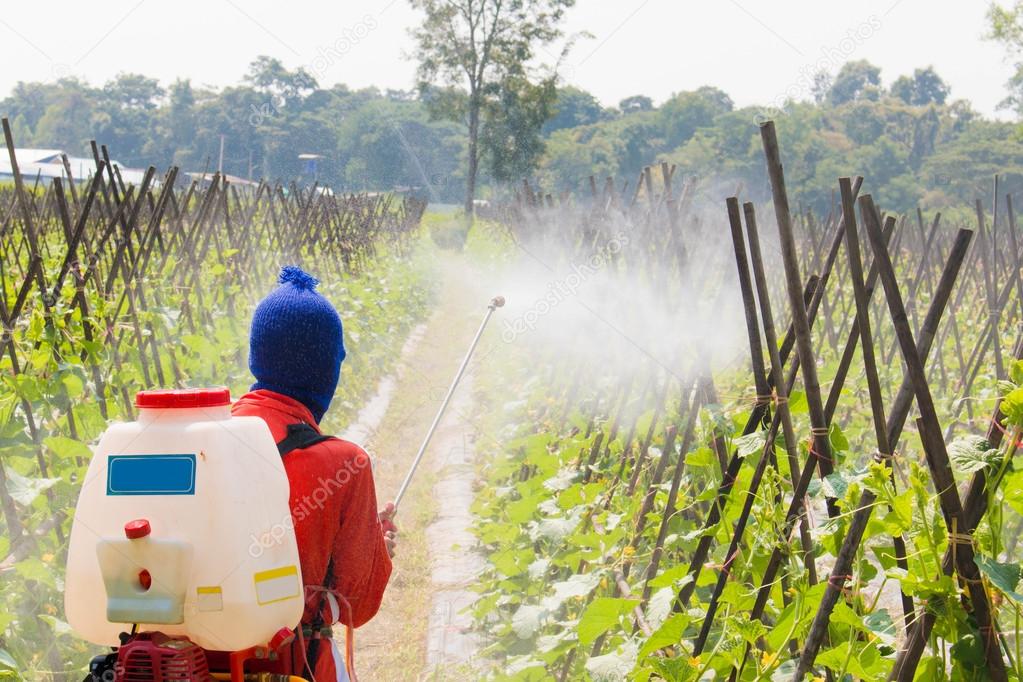 spraying pesticide, agriculture
