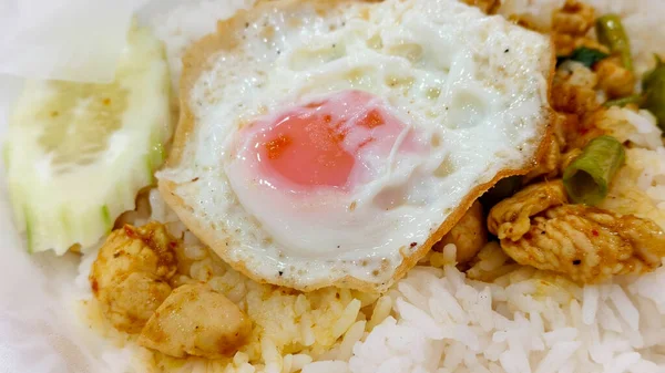 Otantik Tayland tavuğu aromatik köri soslu yeşil fasulye. Üzerine yağda yumurta ve salatalık dilimi ve buharda pişirilmiş pirinçle kaplanmış canlı yakın plan.