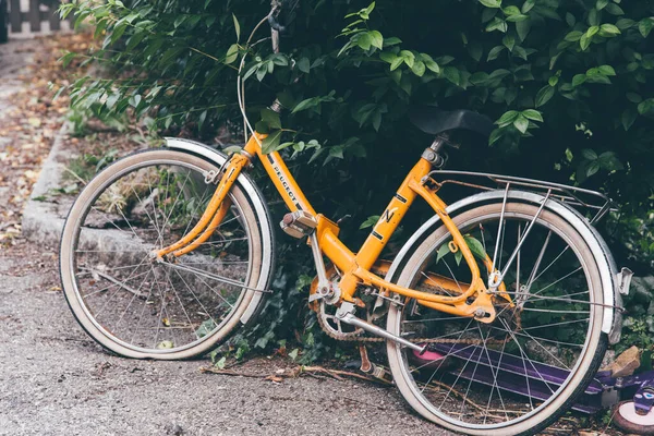 Old yellow bicycle abandoned