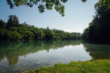 Scenic view of a river amidst trees. Scenic view of landscape