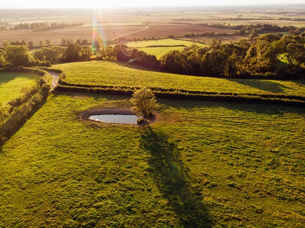 Tarlaların hava görüntüsü. Arazide bir ağaç olan su havuzunun havadan görünüşü