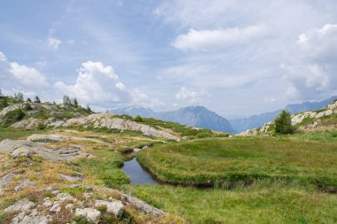 Dağlardaki çayırların manzaralı manzarası