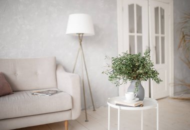 Kanepesi olan bir ışık odası..