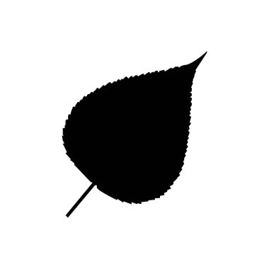 Beyaz arkaplanda yaprak işareti