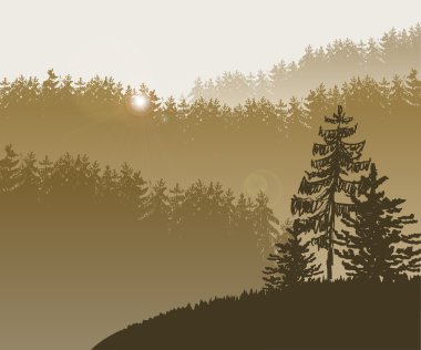 Orman ağaçları Bg