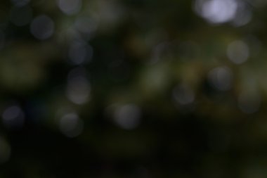 koyu yeşil ve sarı arka plan. bokeh