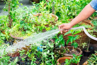 el ile bir bahçe bitkileri sulama