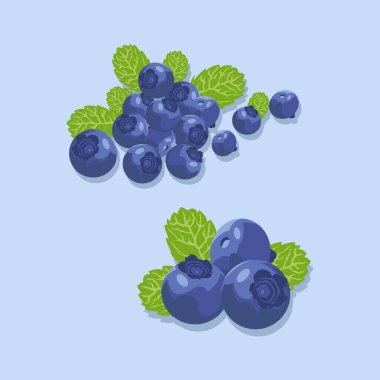 Mavi arka planda yaban mersininin vektör çizimi. Taze meyve bahçesi. Diyet için sağlıklı yiyecekler. Tatlı ve lezzetli meyveler.