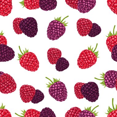 Kırmızı ve mor ahududu desenli vektör çizimi. Beyaz arka planda meyveler var. Yazdırma için kusursuz desen.