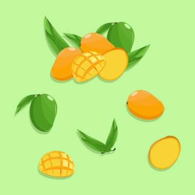 Mango illüstrasyon seti. Turuncu ve yapraklı yeşil mango. Yarım ve dilimlenmiş olgun mango. Sağlıklı yiyecekler için tropikal meyve.