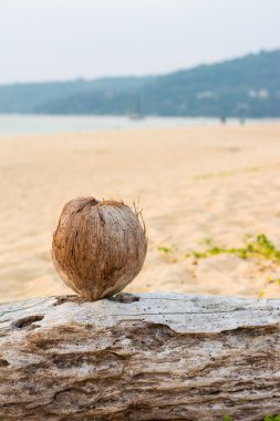 Andaman beach gün batımı ile Hindistan cevizi