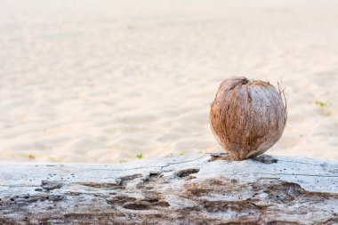 Andaman beach gün batımı ile Hindistan cevizi