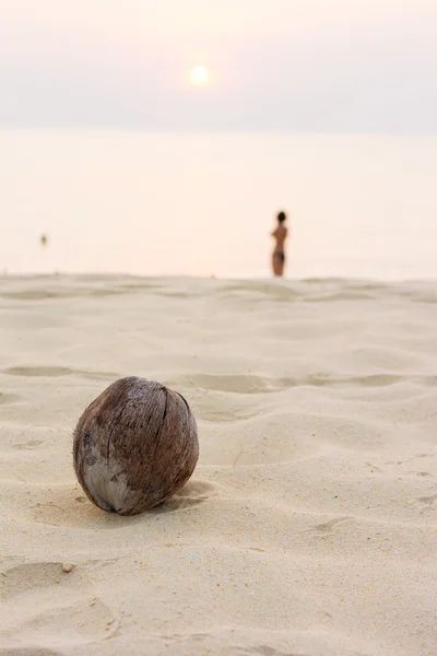 Noix de coco sur la plage d'Andaman avec coucher de soleil — Photo