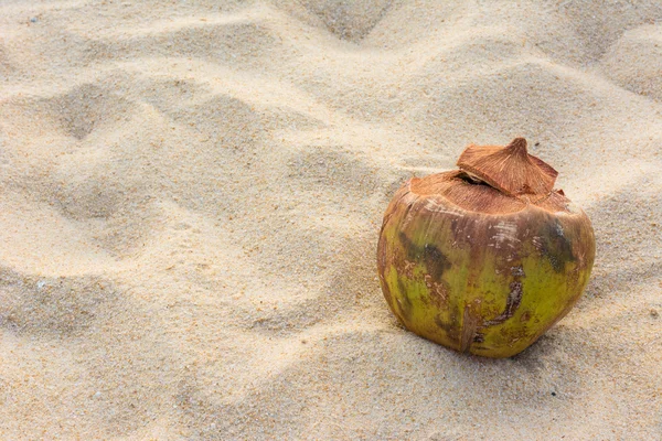 Coco na praia de Andaman com pôr do sol — Fotografia de Stock