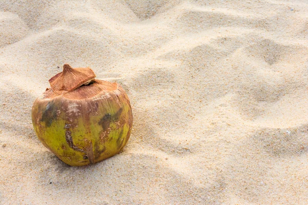 Coco na praia de Andaman com pôr do sol — Fotografia de Stock