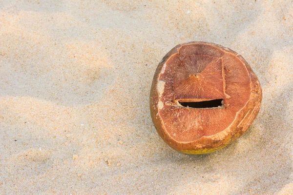 Кокосовый орех на андаманском пляже с закатом — стоковое фото