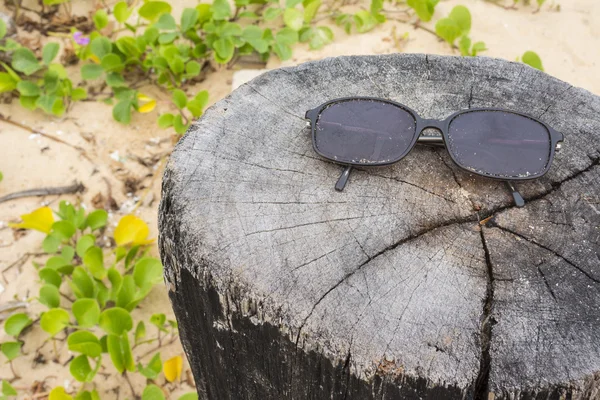 Sun Glass no toco e Ipomoea pes-caprae planta na praia — Fotografia de Stock