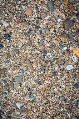 Kabuk dokusu arka plan soyut grup