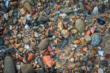 Kabuk dokusu arka plan soyut grup