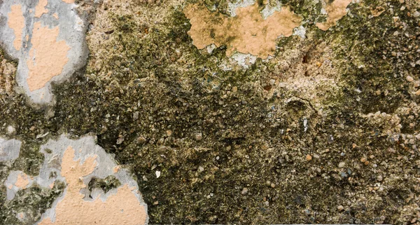 La superficie de la pared o el fondo de textura de cemento —  Fotos de Stock