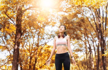 Sağlıklı bir kadın, parkta mutlu ve rahatlatıcı bir şekilde egzersiz yaparken temiz hava soluyor. Sonbahar yaprakları arka planda bulanıklık yaratıyor ve spor için güneş ışığı ve fotokopi alanı ile sağlıklı bir konsept.