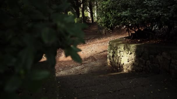 Kvinna Mörka Glasögon Och Stadskläder Grå Rock Går Genom Parken — Stockvideo