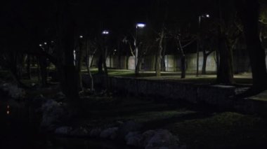 Gece parkta, yüksek hızda elektrikli scooterlı üç kişi fenerlerin yaktığı yol boyunca araba sürüyor. Şehirde gece kayağı. Uzaktan bak. Gece parkı ve karanlıkta yürür. 
