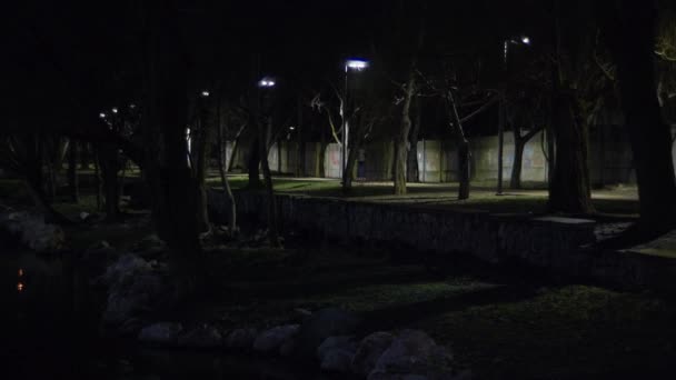 Noite Parque Três Pessoas Scooters Elétricos Alta Velocidade Estão Dirigindo — Vídeo de Stock