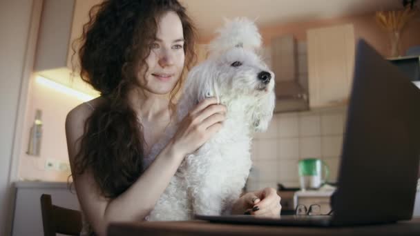 Una Ragazza Dai Capelli Ricci Allegra Con Barboncino Bianco Sulle — Video Stock