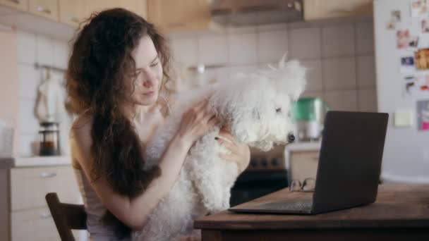 Lockig Tusenårig Flicka Med Vit Pudel Hund Knät Sitter Vid — Stockvideo